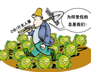菜贱伤农的怪圈并非不能打破