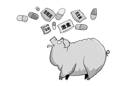 农业专家:用激素喂猪鸡并无效果